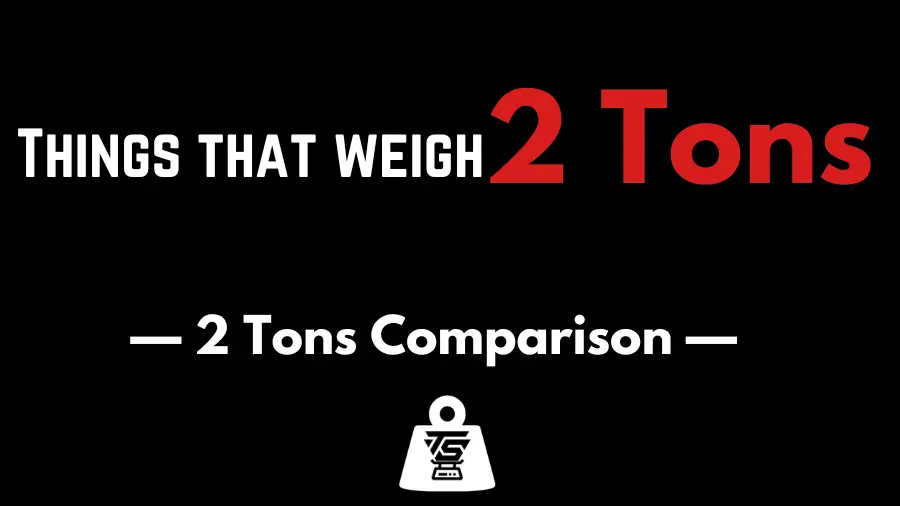 15 Things That Weigh 2 Tons – (2 Tons Comparison)